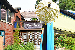 DAYLIGHT, DARK NIGHT AND BLUE SKIES WITH PAPA BUENO